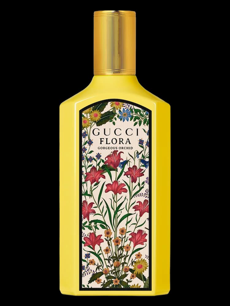 Flora Gorgeous Orchid