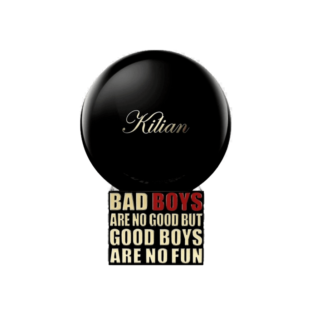 Bad Boys Are No Good But Good Boys Are No Fun