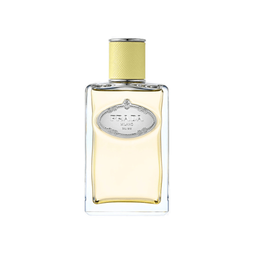 Infusion de Gingembre