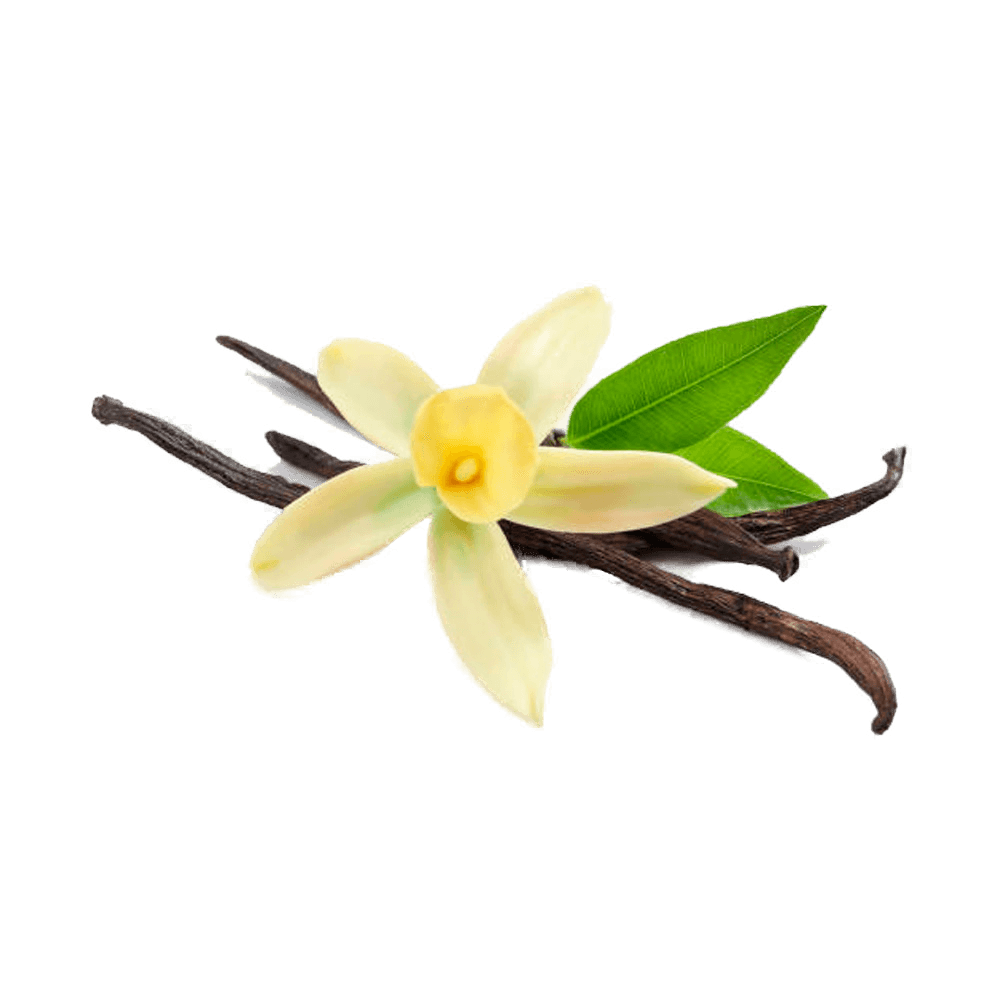 Vanilla