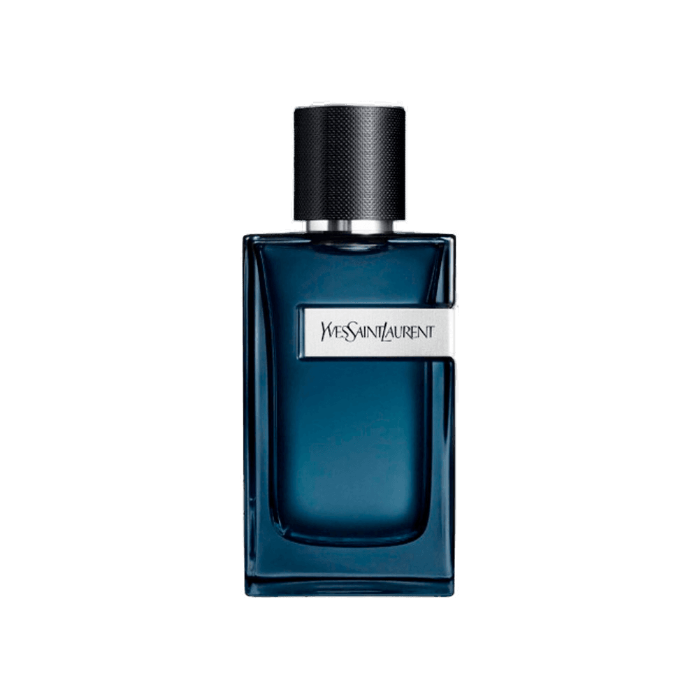 YSL Y Intense ətiri